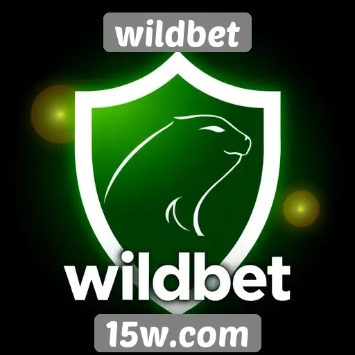 Segurança e privacidade no wildbet